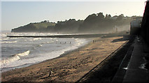 SX9676 : Beach and breakwater, Dawlish by Derek Harper