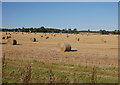 NH6756 : Harvested field, by Burnfarm by Craig Wallace