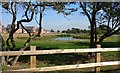 Balancing pond at New Lubbesthorpe