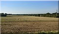 Farmland on the western edge of Kibworth