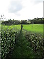 Public footpath at Watchknowe, Crossford