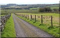 Farm road to East Kilbride, Glen Fruin