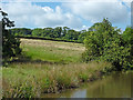 Canalside pasture near Marple, Stockport