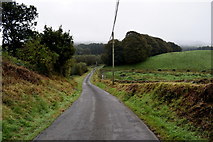 H3580 : Cloonty Road, Tamnagh by Kenneth  Allen