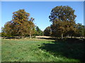 The beginning of autumn in Cassiobury Park