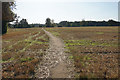 Harvested field near Pipe Green