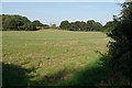 Green field near The Abnalls