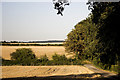 Fields near Grafton Lodge