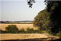 SP1354 : Fields near Grafton Lodge by P Gaskell