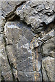 NO9090 : Folded Rock by Anne Burgess