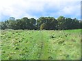 Footpath towards Daleford Lane