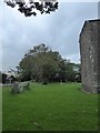 St. Mary, Herbrandston: churchyard (c)