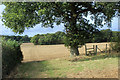 Redundant Stile, Bladon Heath