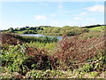 Cornahove Lough from the Loughross Road