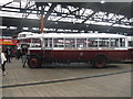 NT2574 : Leyland Lion PLSC3 bus by M J Richardson