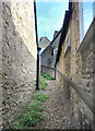 Cobblestone Path, Bladon