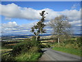 Steep brae near Guilds Wood