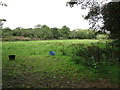 Grass field near Treffgarne Bridge