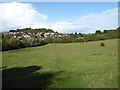 Ronkswood Hill Meadows Local Nature Reserve