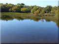 NJ3265 : Pond near Kingston by Alan Murray-Rust