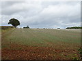 Stubble field off the B4031