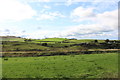 Farmland at Carnochan