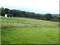 Paddock near Upper Greatfield Farm