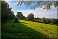 Huish Champflower : Grassy Field