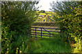 Huish Champflower : Gate