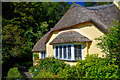 Selworthy : Lorna Doone and Clematis Cottage