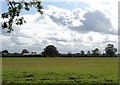 Grassland near Greenlands Oak Farm