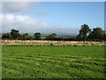 Fields south-west of Narberth