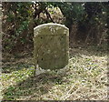 Milestone beside Brackley Road (A422)