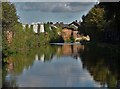 View along The Sheffield and Tinsley Canal