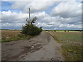 Track (bridleway) to Grove Farm