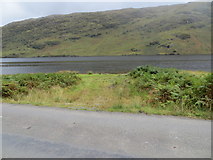 NM9991 : Access to Loch Arkaig from the minor road by Peter Wood