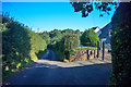 Luccombe : Country Lane