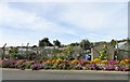 NZ2352 : Roadside flower display at Grange Villa by Robert Graham