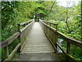 Footbridge over the River Balvag, Strathyre