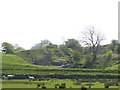 Field Rock Quarry near Bell Busk