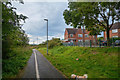 Newcastle-Under-Lyme : Footpath