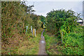 Newcastle-Under-Lyme : Footpath