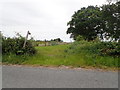 Footpath near York Hall Farm