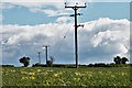 Stogursey: Telegraph poles crossing a corn field