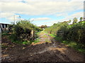 Llwybr Ffarm y Nant / Nant Farm Path