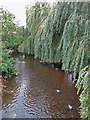 The Fray River south of Rockingham Road