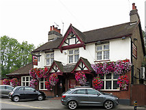 TQ0483 : The Dolphin, Rockingham Road by Mike Quinn