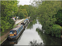 TQ0483 : The Grand Union Canal north of the Rockingham Road bridge by Mike Quinn