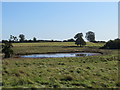 Pond close to the Eelmire farm road