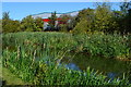 Wednesbury Old Canal Main Line